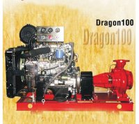 Máy bơm chữa cháy HYUNDAI Dragon100