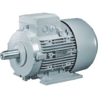 Động cơ điện Siemens 2.2 kW