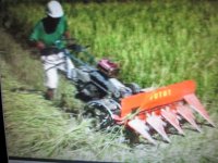 Máy gặt lúa xếp dãy Kubota FUTU1