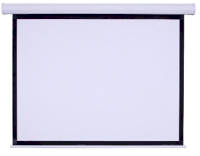 Màn chiếu treo tường DALITE 170 inch (3.05 x 3.05m)