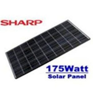 Pin năng lượng mặt trời Sharp 175W 