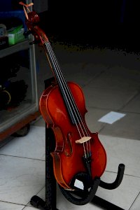 Đàn Violin VX1