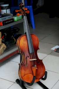 Đàn Violin VX2