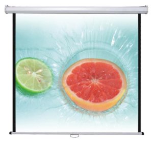 Màn chiếu treo tường Dinon  DMS240 135inch