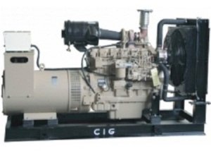 Máy phát điện CiG 170S5-J