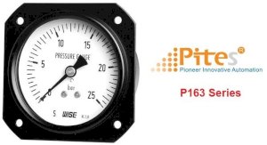 Đồng hồ đo áp suất Wise P163 