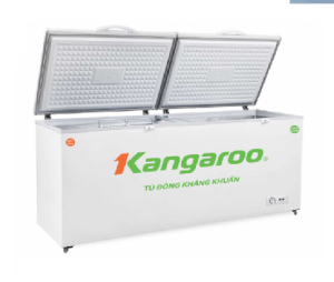 Tủ đông Kangaroo KG688C2