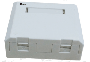Telemax  Double Port Fiber Outlet ABS Material TM05OFOT02P