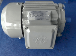 Motor chân đế 3 Phase Tatung 2P-30HP-22KW (2900 rpm)