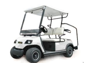 Xe điện sân golf 2 chỗ LVTONG