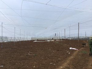 Lưới mùng trắng trồng rau HDPE 64 lỗ/cm2