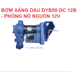 Bơm xăng dầu Trung Quốc DYB50-DC 12B