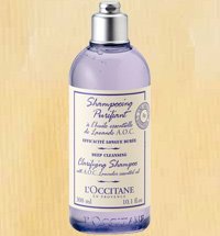 Lavender Clarifying Shampoo (300ml) - Dầu gội tinh chất hoa oải hương (L'occitane)