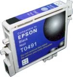 Epson T0491