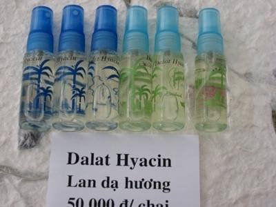 Dalat Hyacin 8 ml (Lan dạ hương)