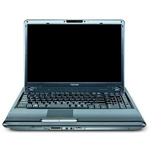 TOSHIBA Satellite P305D-S8828 (AMD Turion X2 Dual Core Mobile RM-70 2.0GHz, 3GB RAM, 200GB SATA HDD, VGA ATI Radeon 3100, 17.1 inch, Window Vista Hom Premium)  