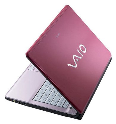 Sony Vaio VGN-FJ290P1/R (Intel Pentium M 750 1.86GHz, 1GB RAM, 100GB HDD, VGA Intel GMA 900, 14.1 inch, Windows XP Professional)