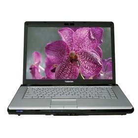 Toshiba Satellite M305-S4819 (Intel Core 2 Duo T5550 1.83GHz, 1GB RAM, 160GB HDD, VGA Intel GMA X3100, 14.1 inch, Windows Vista Home Premium) 