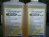 ACTELLIC 50EC - Sản phẩm bảo quản nông sản chống mọt, sâu bệnh