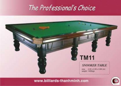 Bida Lỗ (Snooker Table) TM11