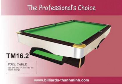 Bida Lỗ (Pool Table) TM16.2