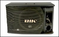 Loa BIK BS 990