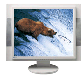 Eizo Flexscan M1950