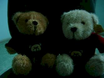 Gấu teddy mặc áo len G04