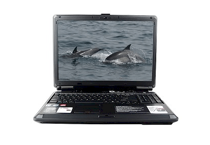 Fujitsu Lifebook N6470 (Intel Core 2 Duo T5750 2.0Ghz, 3GB RAM, 500GB HDD, VGA ATI Radeon HD 2600, 17 inch, Windows Vista Home Premum) 