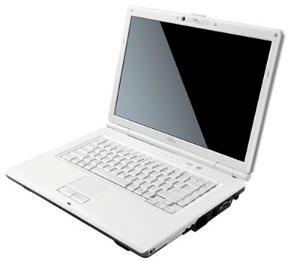 Fujitsu LifeBook A6220 (Intel Core 2 Duo 2.13GHz, 4GB RAM, 500GB HDD, VGA ATI Radeon HD 3470, 15.4 inch, Windows Vista Home Premium)