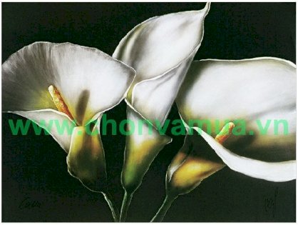 Tranh sơn dầu hoa loa kèn CVM-HLK019