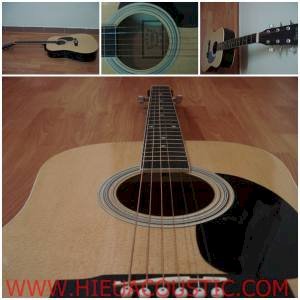 Guitar Acoustic Custom AG20 - Victoria Brand