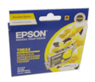 Epson C13T087490