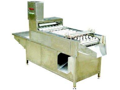 Máy bóc vỏ trứng gà, vịt FT-200