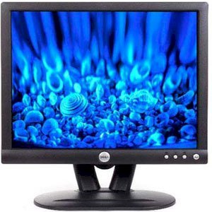 DELL E153FPB 15inch