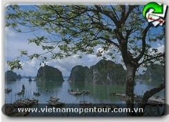 Hà Nội - Hạ Long - Huế - Hội an - Đà Nẵng - Nha trang - Đà lạt - Tp Hồ Chí Minh