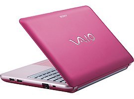 Sony Vaio VPC-W115XH/P Netbook (Intel Atom N280 1.66Ghz, 1GB RAM, 160GB HDD, VGA Intel GMA 950, 10.1 inch, Windows XP Home) 