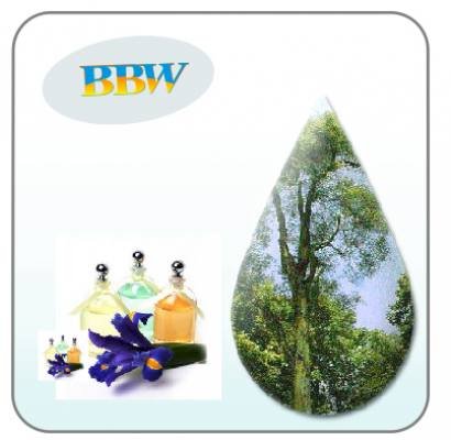 Tinh dầu khuynh diệp sản phẩm của BBW 