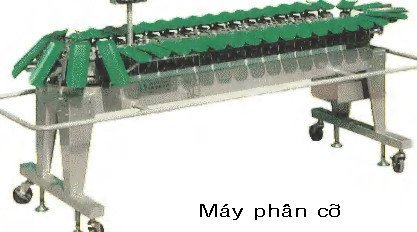 Máy phân cỡ thủy sản PF - Nhật Bản