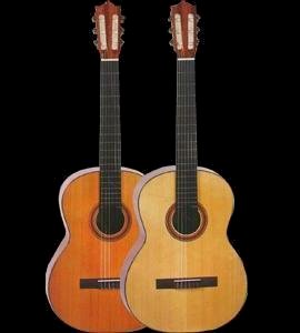 Đàn  Classical Guitar MCG-21N 