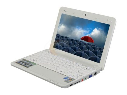 MSI Wind U100-030US Netbook (Intel Atom N270 1.6Ghz, 1GB RAM, 120GB HDD, VGA Intel GMA 950, 10 inch, Winows XP Home)