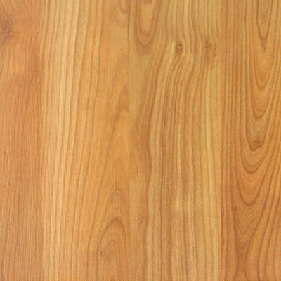 Sàn gỗ Pergo Family PF 4502