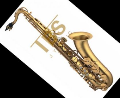 Saxophone 201SJ