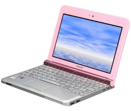 Toshiba Mini NB205-N330PK (PLL23U-00E01C) Posh Pink (Intel Atom N280 1.66GHz, 1GB RAM, 250GB HDD, VGA Intel GMA 950, 10.1inch, Windows 7 Starter) 