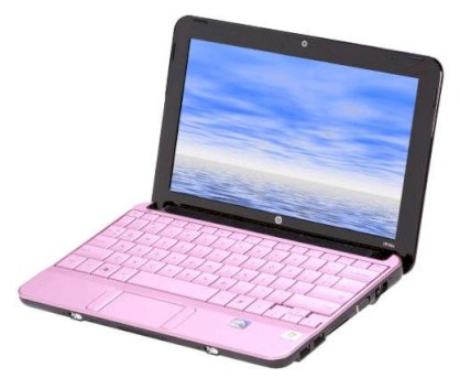HP Mini 110-1127NR (VM139UA) Pink (Intel Atom N270 1.6GHz, 1GB RAM, 250GB HDD, VGA Intel GMA 950, 10.1inch, Windows 7 Starter)