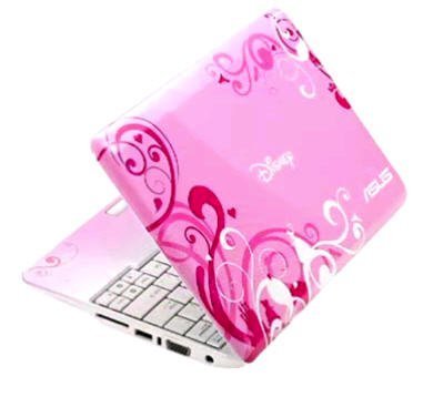 ASUS Eee PC Disney Netpal MK90H-PIN002X Princess Pink (Intel Atom N270 1.6GHz, 1GB RAM, 160GB HDD, VGA Intel GMA 950, 8.9inch, Windows XP Home) 