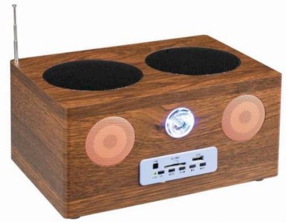 Portable speaker SD-A02FM