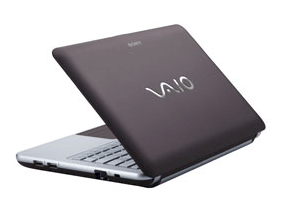 Sony Vaio VPC-W213AG/T (Intel Atom N450 1.66GHz, 1GB RAM, 250GB HDD, VGA Intel GMA 3150, 10.1 inch, Windows 7 Starter)