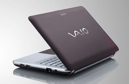 Sony Vaio VPC-W216AG/T (Intel Atom N450 1.66GHz, 2GB RAM, 320GB HDD, VGA Intel GMA 3150, 10.1 inch, Windows 7 Starter)