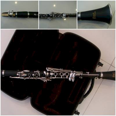 Clarinet CLE100N 